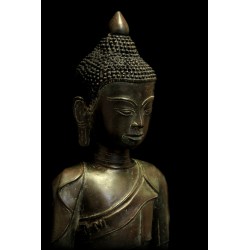 Bronze Buddha 235