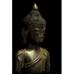 Bronze Buddha 236