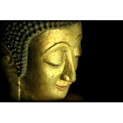 Wooden Buddha 137