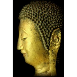 Holz-Buddha 137