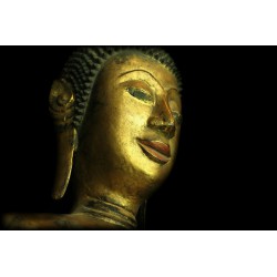 Træ Buddha 137