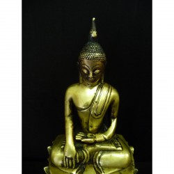 Bronze Buddha 102